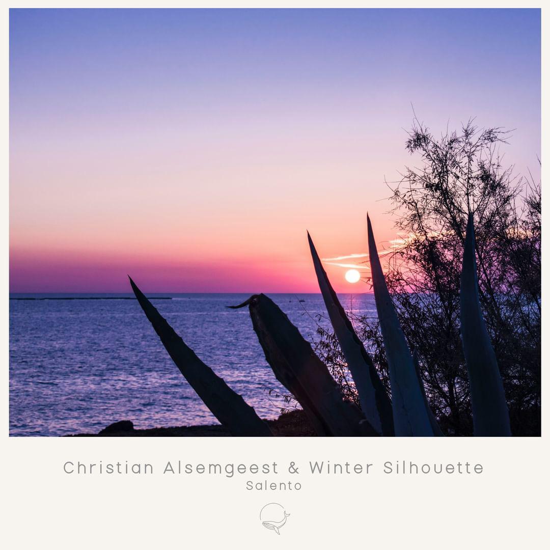 Sea, trees and a sunset