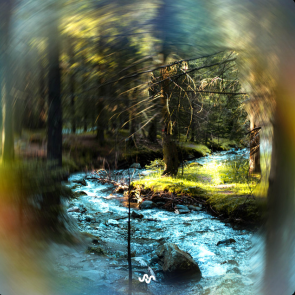 A streaming river in a forest